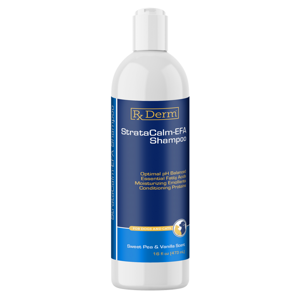 StrataCalm-EFA Shampoo 16 oz