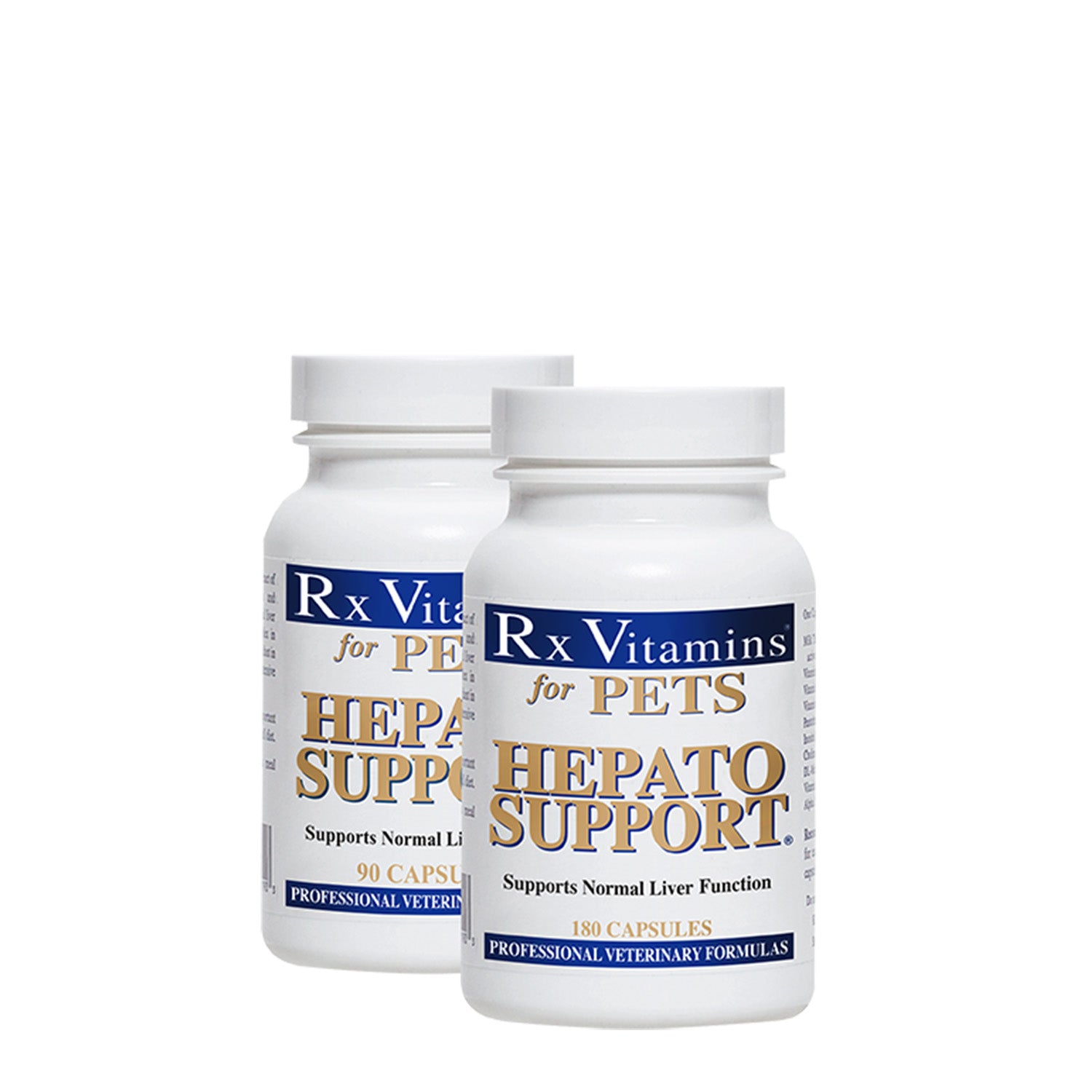 Hepato support outlet